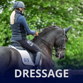dressage